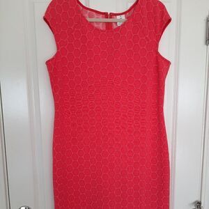 julia jordan cocktail  dress size 14‎